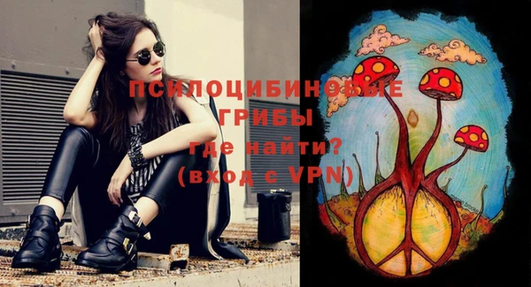 молекула духа Балабаново