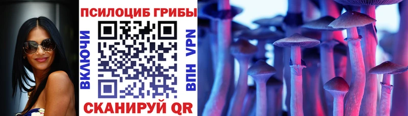 Галлюциногенные грибы Psilocybine cubensis  Нарьян-Мар 